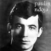 paulini ndoja-100b